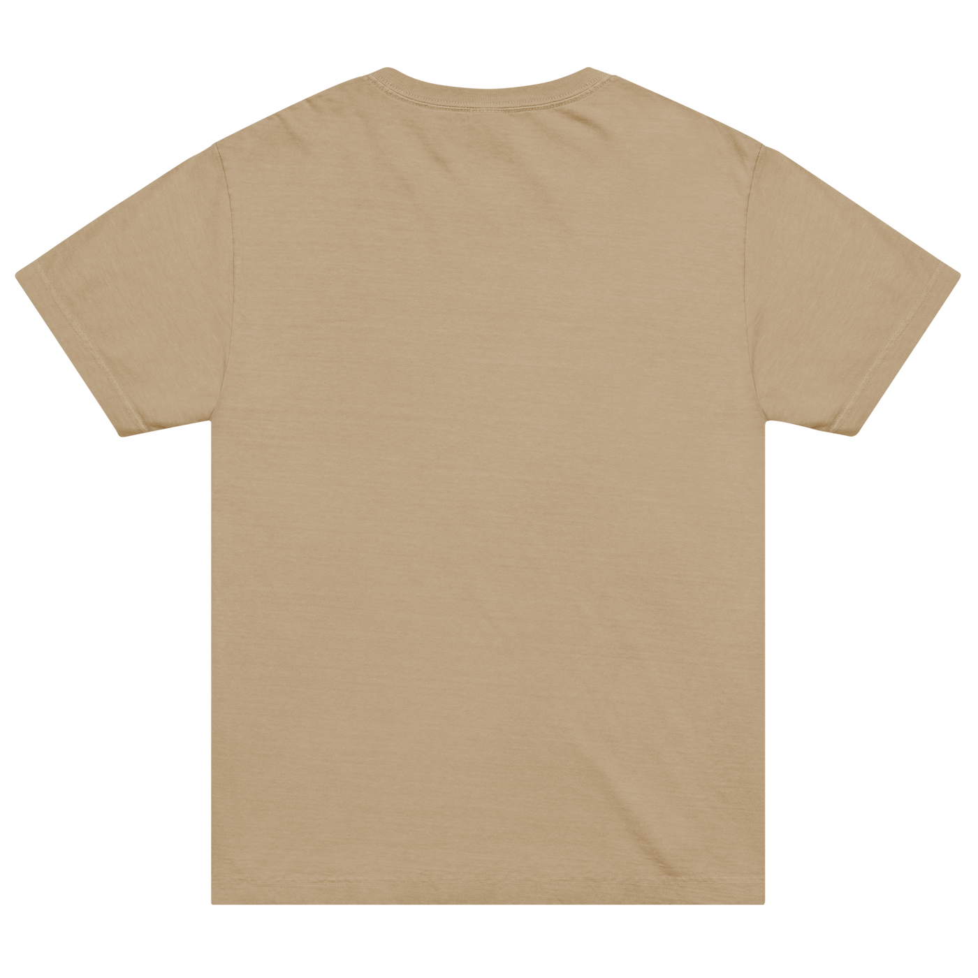 The Record Survived biblical archaeology Christian oversized T-shirt by Gospel Noir, product view.