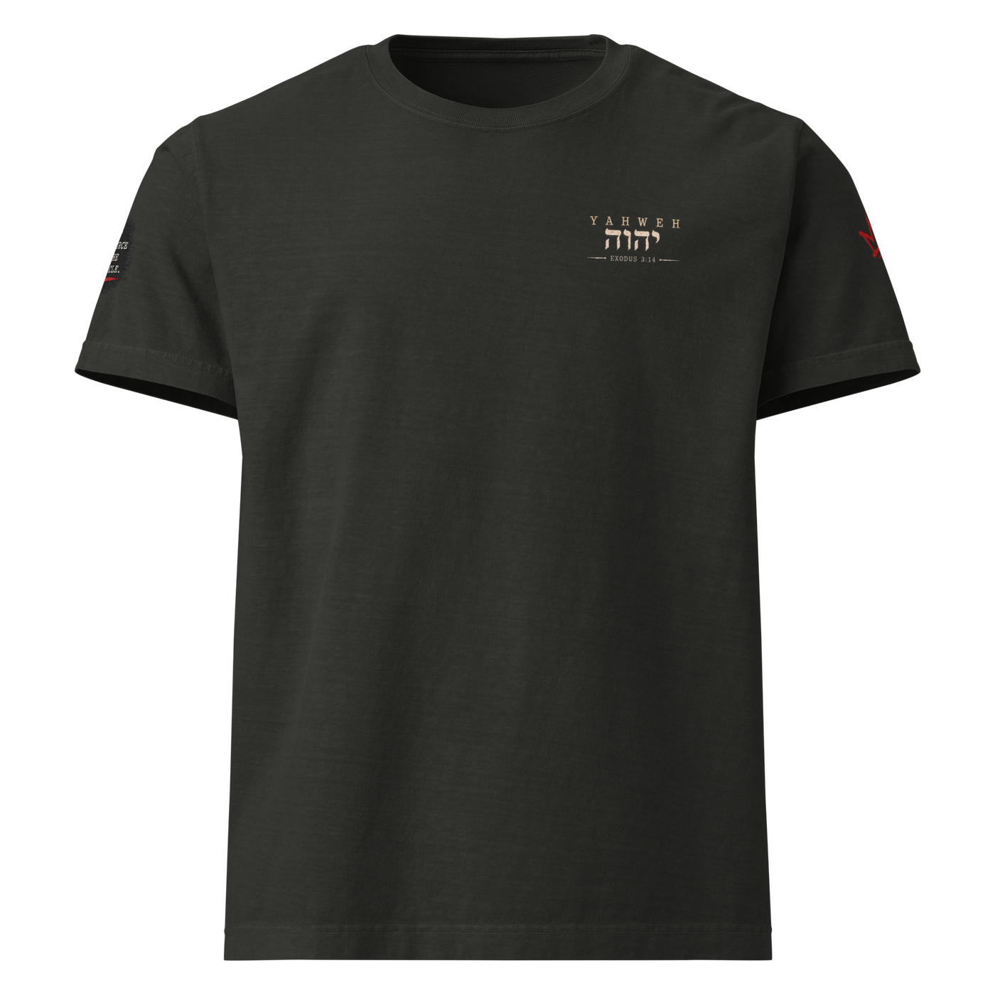 Test the Source Not the Spectacle II oversized Christian discernment T-shirt with Gospel Noir source-verification design.