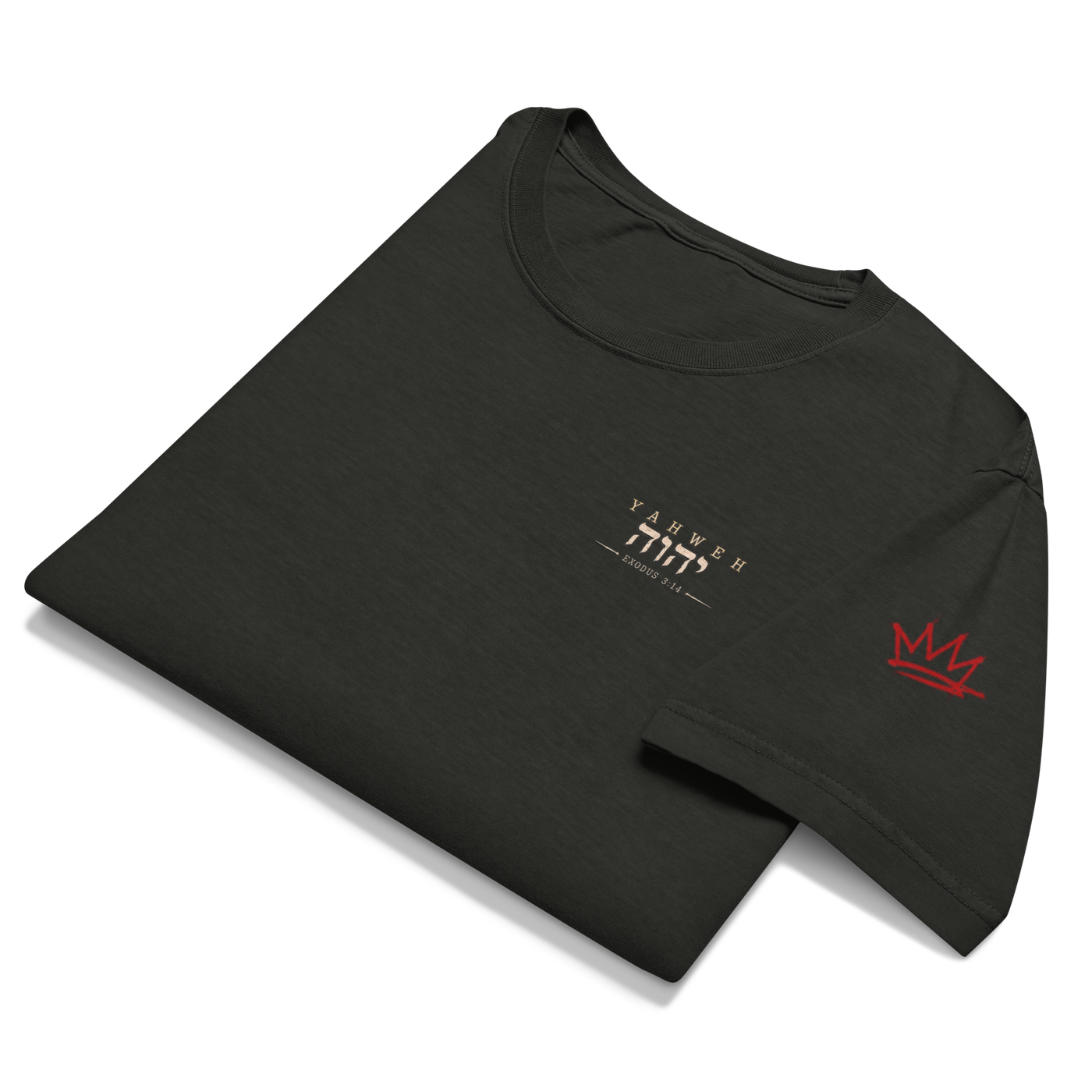 Test the Source Not the Spectacle II Christian oversized T-shirt — washed black, front view