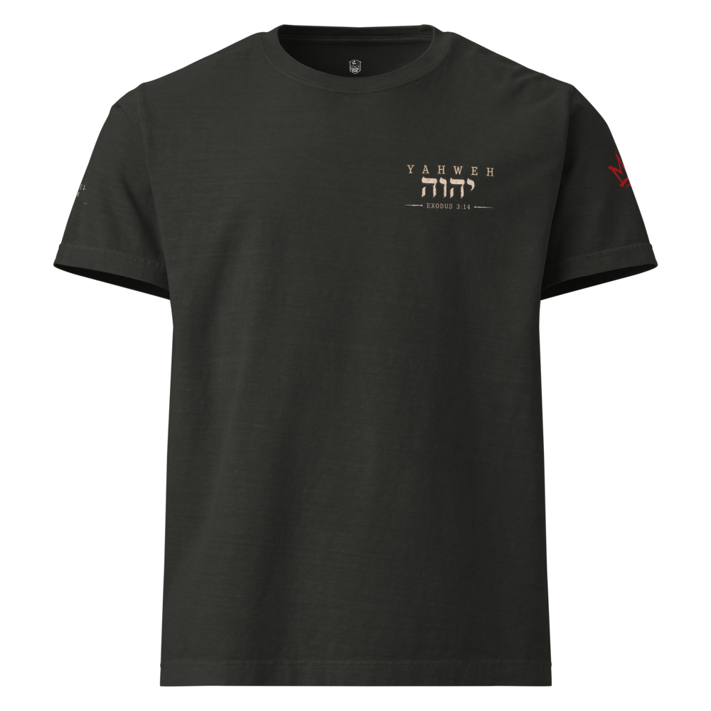 Christian Discernment Oversized T-Shirt — Test the Source, Not the Spectacle — black, front. Gospel Noir Christian T-shirt by Heavenly Crafted, film noir Christian apparel
