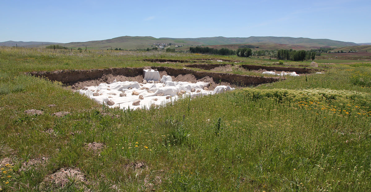 Kayalıpınar excavation trenches under protective coverings in 2019, at the ancient city of Samuha. Photo: Ingeborg Simon, CC BY-SA 3.0.