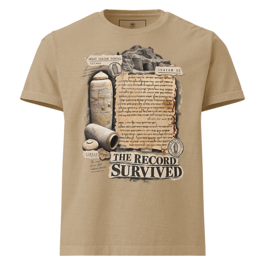 The Record Survived biblical archaeology Christian oversized T-shirt by Gospel Noir, front view.