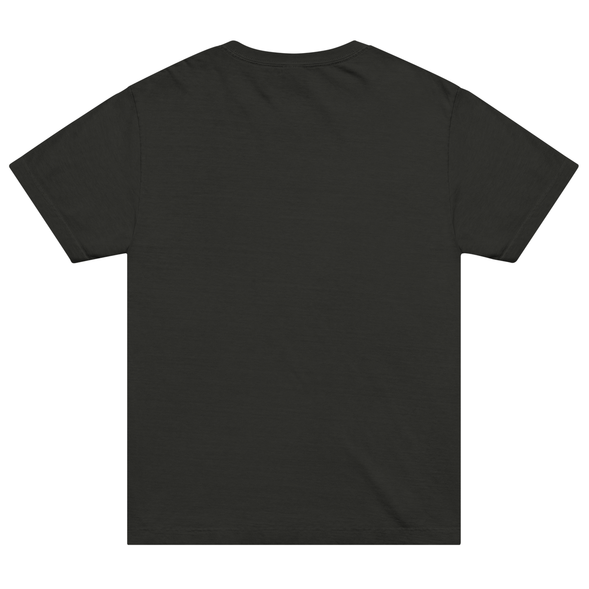 The Record Survived Dead Sea Scrolls Christian oversized T-shirt, washed black back view.