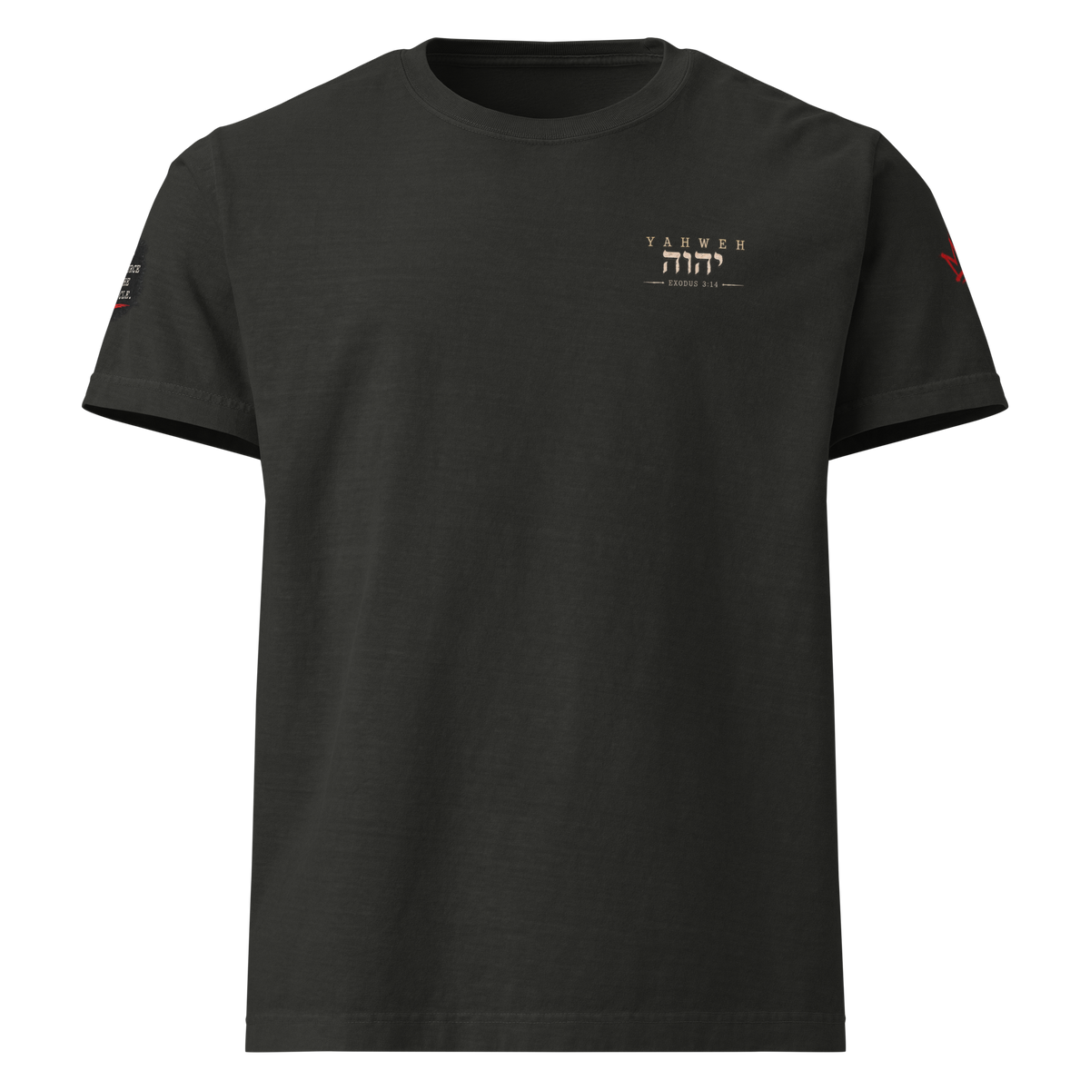 Test the Source Not the Spectacle II oversized Christian discernment T-shirt with Gospel Noir source-verification design.