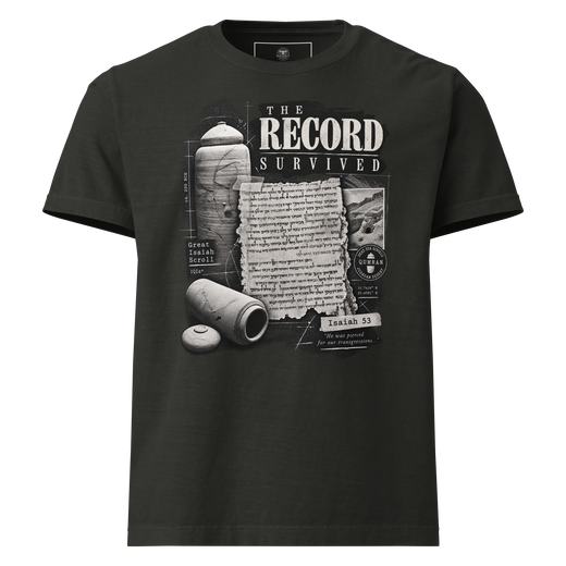The Record Survived Dead Sea Scrolls Christian oversized T-shirt, washed black front view.