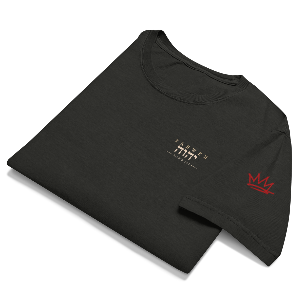 Test the Source Not the Spectacle II Christian oversized T-shirt — washed black, front view